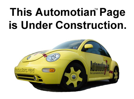 Automotian - Professional Used Auto Parts buying guide